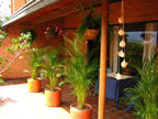 Large Dining - Party Balcony - 300 sqr feet (85kb)